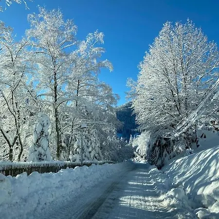 La Miellerie アパート Fellering